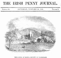 The Irish Penny Journal, Vol. 1 No. 30, January 23, 1841 by Various