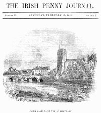 The Irish Penny Journal, Vol. 1 No. 33, February 13, 1841 by Various