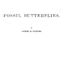 Fossil Butterflies by Samuel Hubbard Scudder