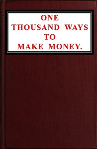 One Thousand Ways to Make Money by Page Fox