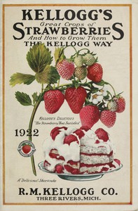 Kellogg's Great Crops of Strawberries, and How to Grow Them the Kellogg Way