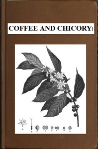 Coffee and Chicory: by P. L. Simmonds