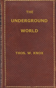 The Underground World: A mirror of life below the surface by Thomas Wallace Knox