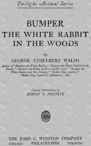 Bumper the White Rabbit in the Woods by George Ethelbert Walsh