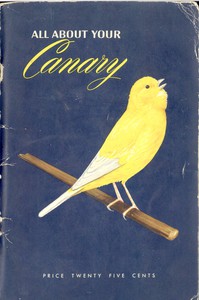 All About Your Canary by George Jackson French