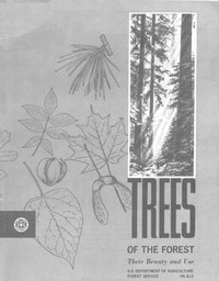 Trees of the Forest: Their Beauty and Use by Anonymous