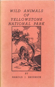 Wild Animals of Yellowstone National Park by Harold J. Brodrick