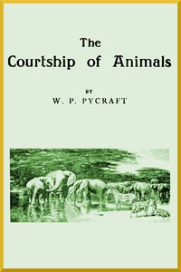 The Courtship of Animals by W. P. Pycraft