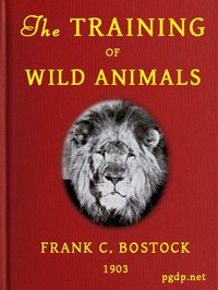 The Training of Wild Animals by Frank Charles Bostock