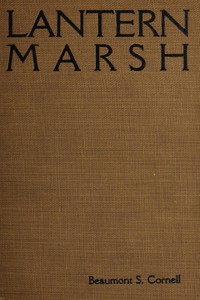 Lantern Marsh by Beaumont Sandfield Cornell