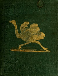 Tales About Birds, Illustrative of Their Nature, Habits, and Instincts by Bingley