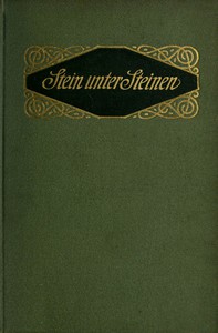 Stein unter Steinen: Schauspiel in vier Akten by Hermann Sudermann