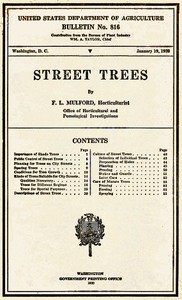 Street Trees by Furman Lloyd Mulford