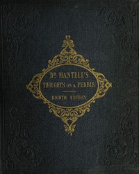 Thoughts on a Pebble, or, A First Lesson in Geology by Gideon Algernon Mantell