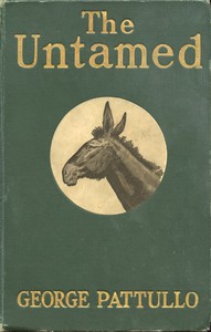 The Untamed: Range Life in the Southwest by George Pattullo