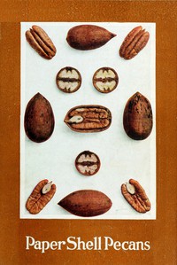 Paper Shell Pecans by Keystone Pecan Company