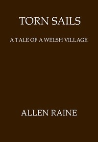 Torn Sails: A Tale of a Welsh Village by Allen Raine