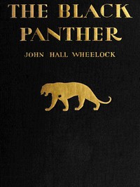 The Black Panther: A book of poems by John Hall Wheelock