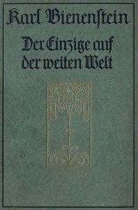 Der Einzige auf der weiten Welt: Ein Menschenleben by Karl Bienenstein