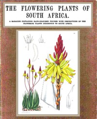 The Flowering Plants of South Africa; vol. 2 by I. B. Pole Evans