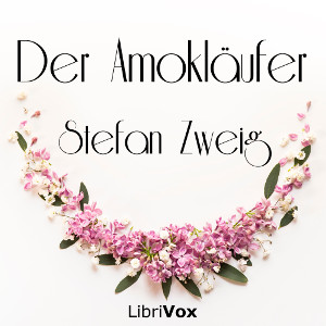 Der Amokläufer