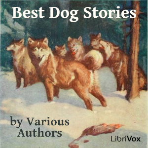 Best Dog Stories