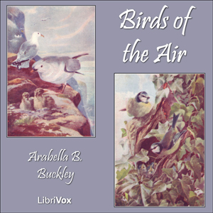 Birds of the Air