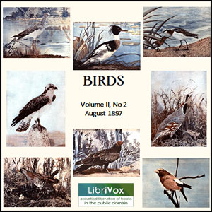 Birds, Vol. II, No 2, August 1897