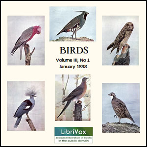 Birds, Vol. III, No 1, January 1898