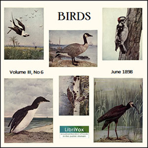 Birds, Vol. III, No 6, June 1898