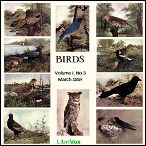 Birds, Vol. I, No 3, March 1897