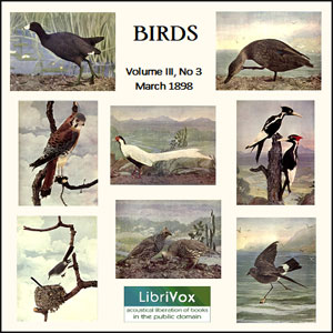 Birds, Vol. III, No 3, March 1898