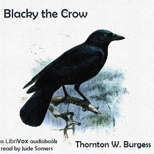 Blacky the Crow