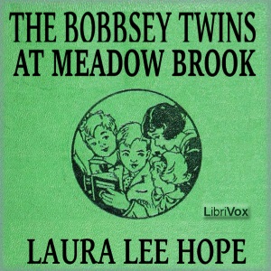 The Bobbsey Twins at Meadow Brook