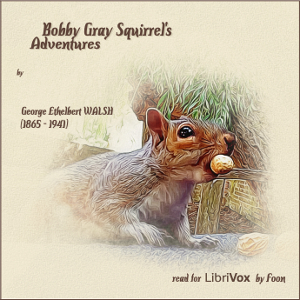 Bobby Gray Squirrel's Adventures