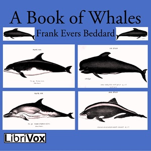 A Book of Whales