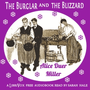 The Burglar and the Blizzard