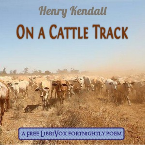 On a Cattle Track