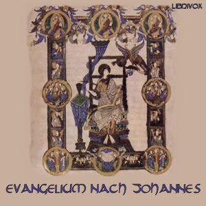 Das Evangelium nach Johannes