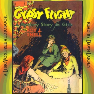 Gypsy Flight