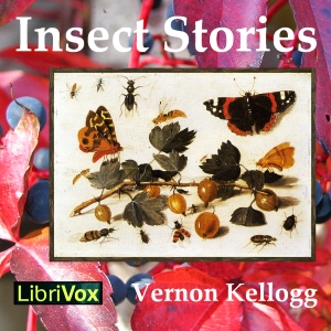 Insect Stories