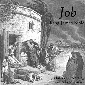 Bible (KJV) 18: Job (version 2)