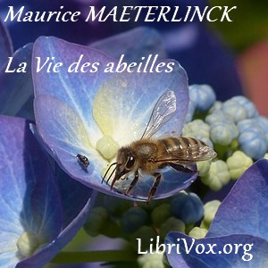 La vie des abeilles