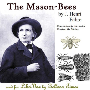 The Mason-Bees