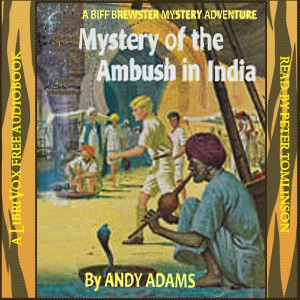 Mystery of the Ambush in India