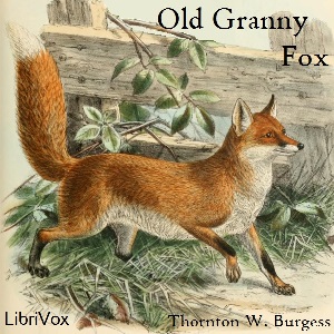 Old Granny Fox