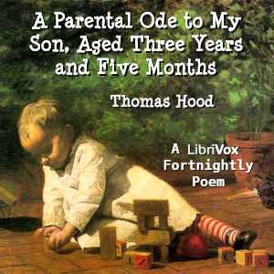 A Parental Ode to My Son, Aged Three Years and Five Months