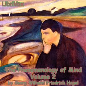 The Phenomenology of Mind, Volume 2