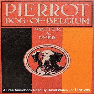 Pierrot, Dog Of Belgium