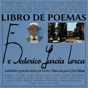 Libro de Poemas